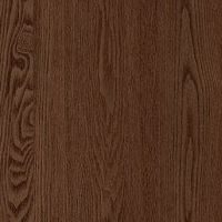 Brown Dreamline